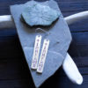 rune aett earrings 1