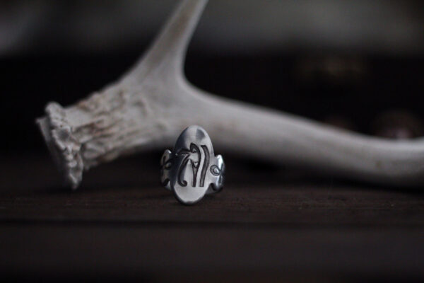 eye-of-horus-ring-2 eye of horus ring