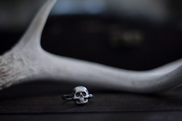 silver-skull-ring-2 silver skull ring