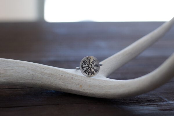 dainty vegvisir ring for women