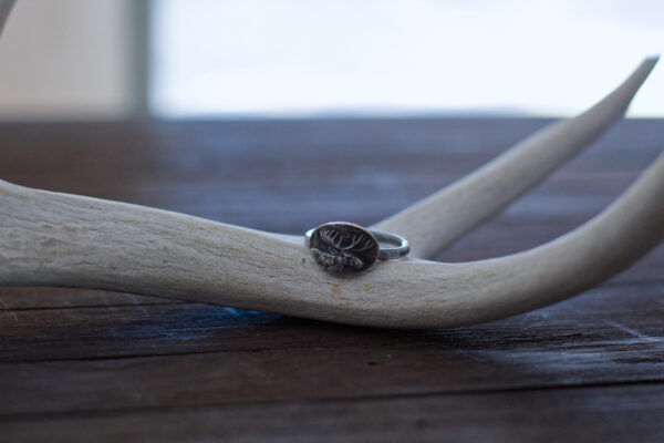 silver moose ring