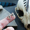 Huginn and Muninn Ear Cuff Set