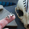 Huginn and Muninn Ear Cuff Set