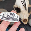 Tanum Rock Carving Petroglyphs Bracelet
