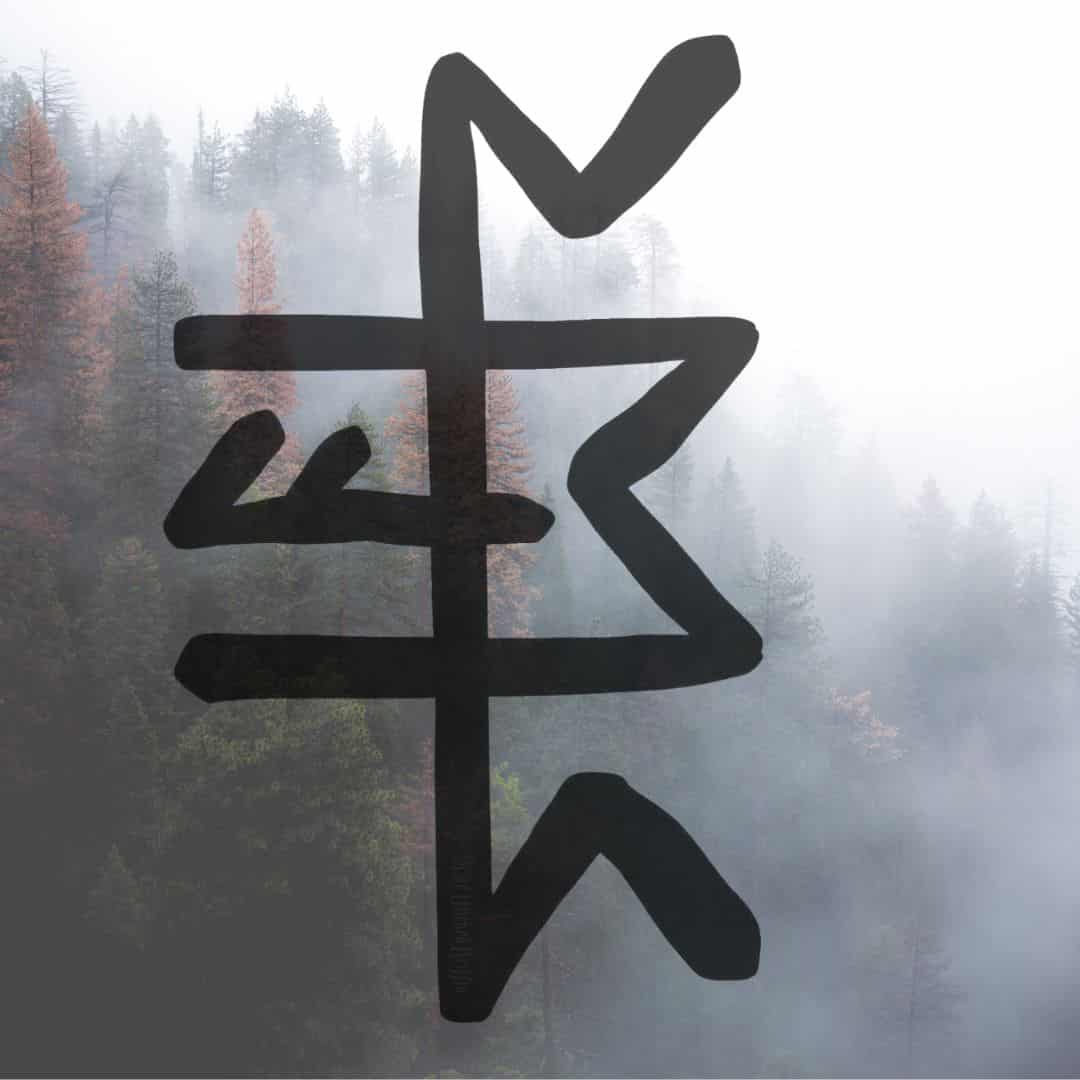 20 Powerful Norse Bind Runes: Meanings & How to Create Them - The ...