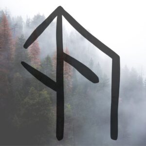 20 Norse Bind Runes for the Modern Viking - The Wicked Griffin