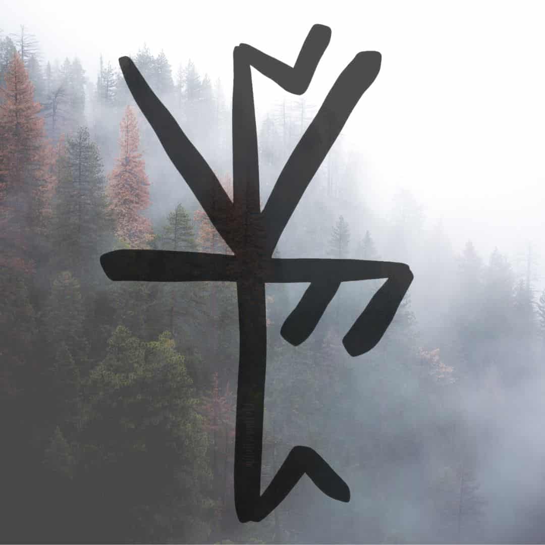 20 Norse Bind Runes for the Modern Viking - The Wicked Griffin