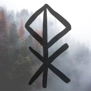 20 Norse Bind Runes for the Modern Viking - The Wicked Griffin