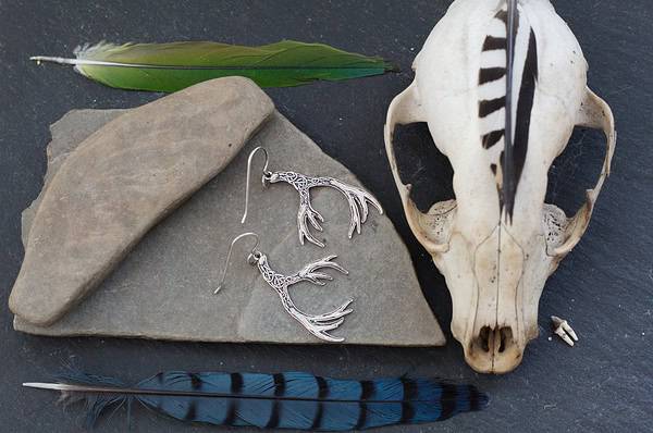 Deer Antler Earrings - Celtic Knot and Algiz