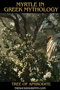 Myrtle-Greek-Mythology