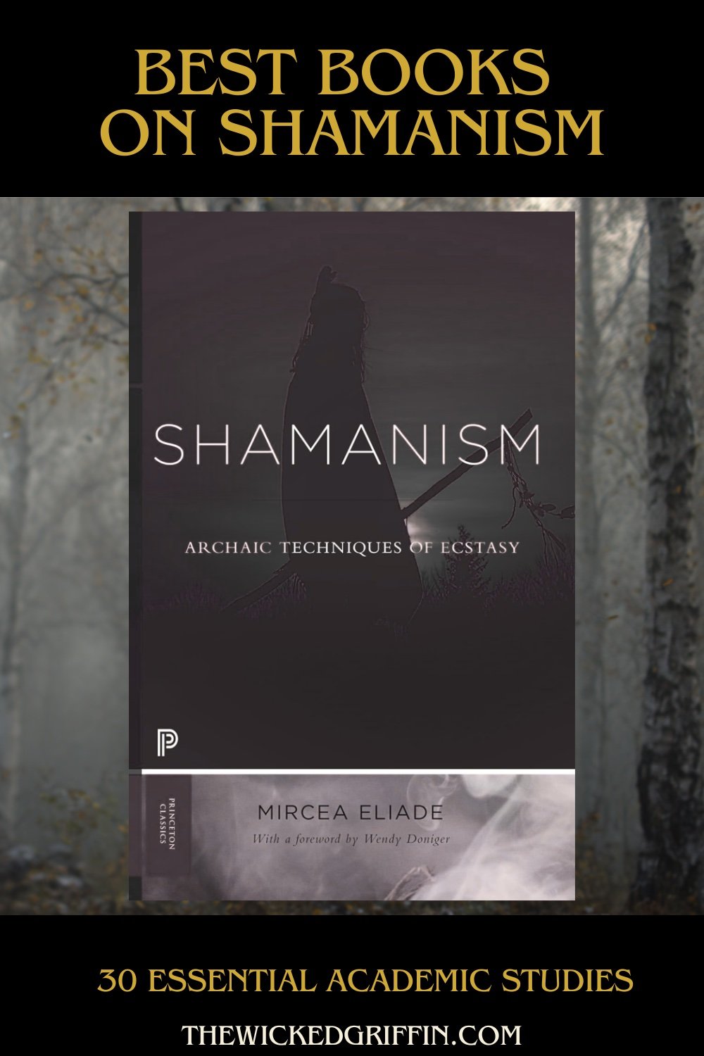 best books on shamanism