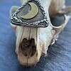 il_fullxfull.7926604321_ni1v.jpg Walpurgisnacht Witch Pendant