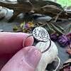 Sterling Silver Cat Ring - I Do Not Think Therefore I Do Not Am