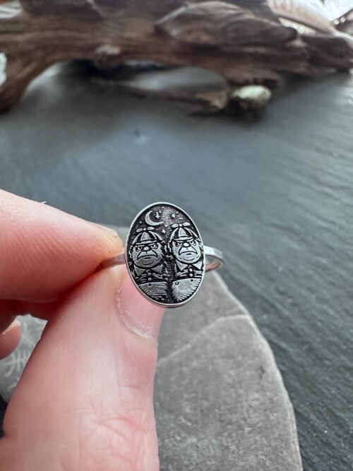 Sterling Silver Alice in Wonderland Ring, Storybook Jewelry Tweedledee and Tweedledum, Handmade Fantasy Ring, Literary Folklore Jewelry
