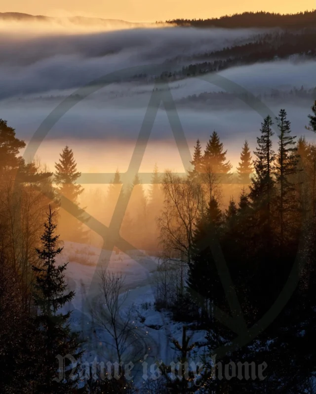 In case you forgot 💜