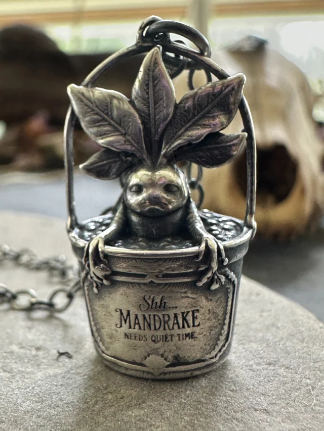 Shh… the mandrake is live 🌿